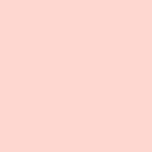 Rosa Nube